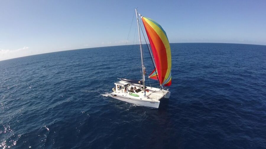 Ocean City: Sailing Catamaran Cruise with Crew - Why You Should Consider This Cruise