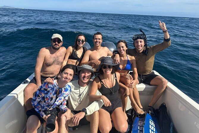 Ocean Safari in San Jose del Cabo - Wildlife Encounters and Highlighted Moments