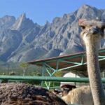Of Monterrey Biopark Star - What Real Travelers Say