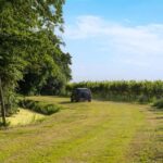 Off-road tour through vineyards and organic wine tasting Villa Bogdano 1880 - A Closer Look at the Experience