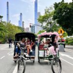 Official Pedicab Guided & Private Tours in Central Park - The Sum Up