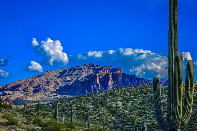 Offroad Sonoran Desert Adventure and Sunset - What’s Included and What’s Not