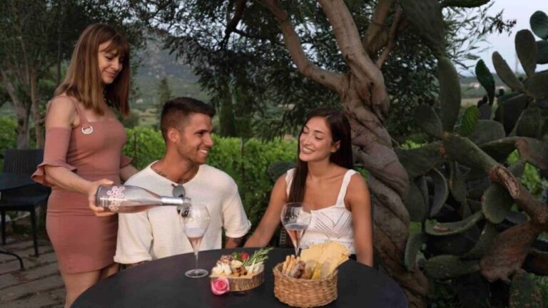 Olbia: Winery Aperitif with Local Products and Wine - The Wines: A Taste of Passion