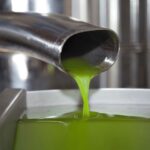 Olive Mill Tour and Tasting in the Verona Countryside - Practical Details