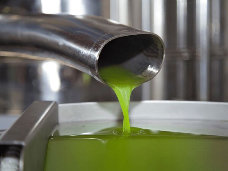 Olive Mill Tour and Tasting in the Verona Countryside - Practical Details