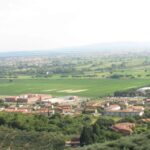 Olive Mill Tour with Oil and Food Tastings near Pisa - Who Will Love This Tour?