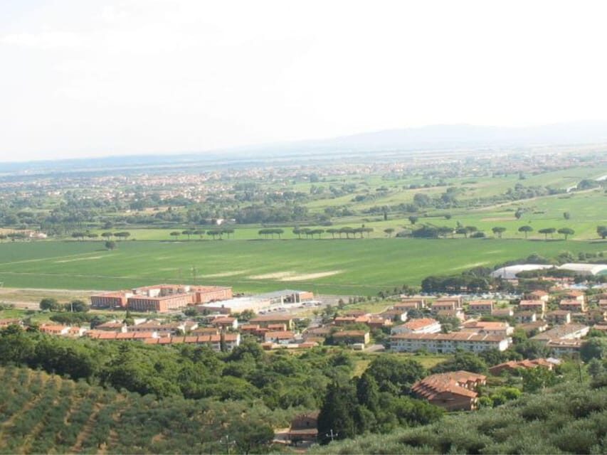 Olive Mill Tour with Oil and Food Tastings near Pisa - Who Will Love This Tour?  