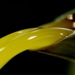 Olive Mill Visit & Guided Tasting in Taggia - The Art of Olive Oil Tasting