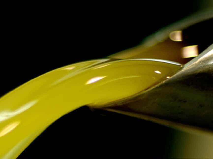 Olive Mill Visit & Guided Tasting in Taggia - The Art of Olive Oil Tasting