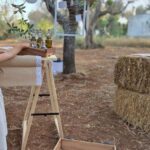 Olive Oil and almond Tour and Tasting: Brindisi, Ostuni - Practical Information and Considerations