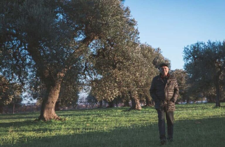 Olive Oil Mill Tour with Tasting and Gift near Bari - Practical Details and Tips