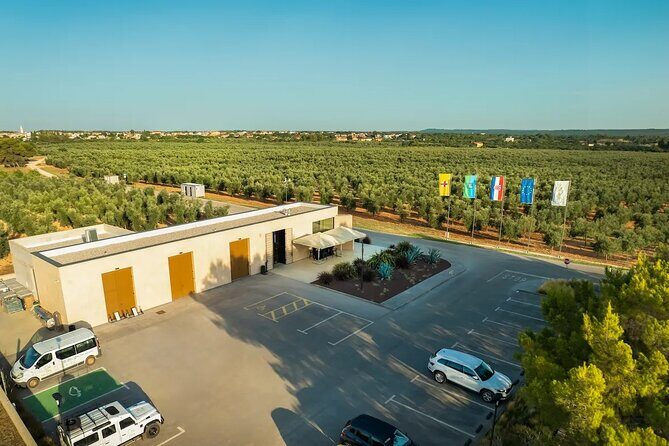 Olive Oil Tasting and Sunset Buggy Tour with Your Local Guide - The Experience: What Youll Love