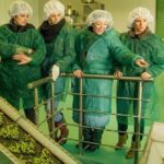 Olive Oil Tour close to Nafplio - Why This Tour Offers Great Value