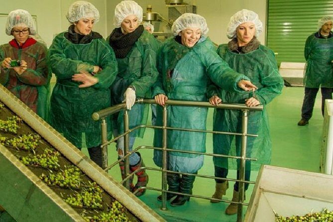 Olive Oil Tour close to Nafplio - Why This Tour Offers Great Value