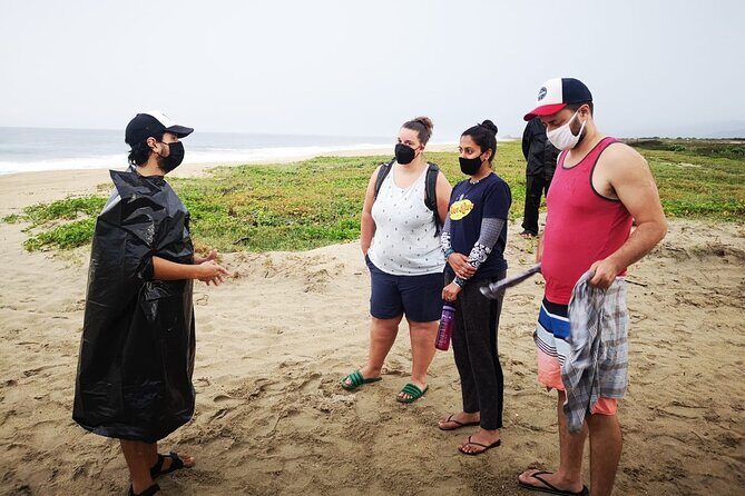 Olive Ridley Turtle Release Experience - Who Should Consider This Tour?