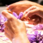 Olmedo: visit to the saffron workshop with tasting - What’s Included and How It Works