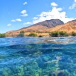 Olowalu: Guided Clear Kayak Tour - Unlimited - The Value of This Experience