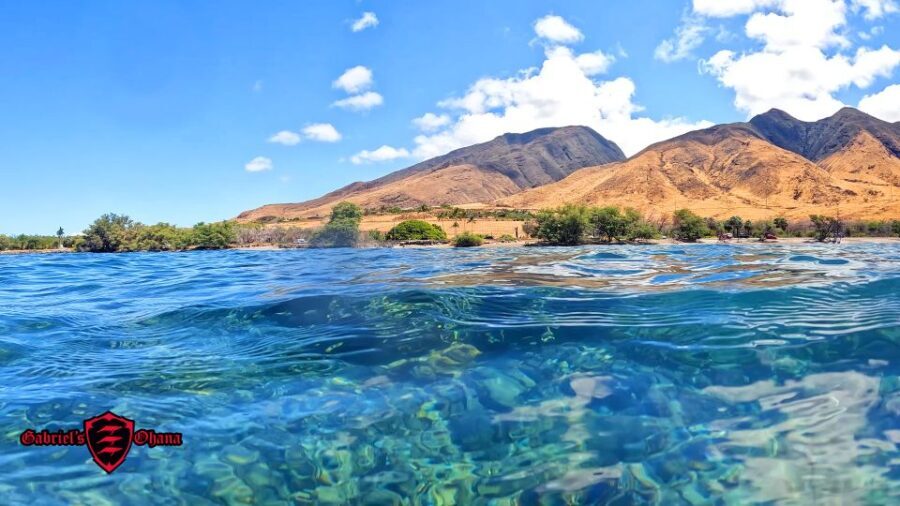 Olowalu: Guided Clear Kayak Tour - Unlimited - The Value of This Experience