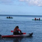 Olowalu: Guided Kayak and Snorkeling Tour - Unlimited - The Practical Side: What to Expect