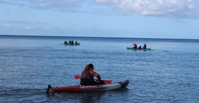 Olowalu: Guided Kayak and Snorkeling Tour - Unlimited - The Practical Side: What to Expect