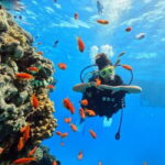 Oludeniz Half Day Scuba Diving Program - What’s Included and What’s Not?