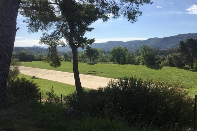 Olympia Highlights & Winery Experience: 4-Hour Tour - The Archaeological Museum of Olympia