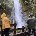 Olympic National Park: Half-Day Tour - What’s Included and What You Should Bring