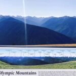 Olympic National Park Small Group Day Tour w/ State Ferries - Exploring the Itinerary in Depth