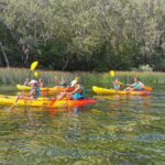 Omi/Split: 4h Kayaking in Cetina Protected Nature Park Area - The Value and Overall Experience