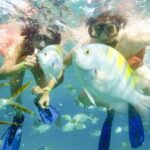 One Way Airport Transfer from SJD-Hotel or Hotel-SJD Cabo San Lucas Zone - Ease of Arrival – From Plane to Hotel