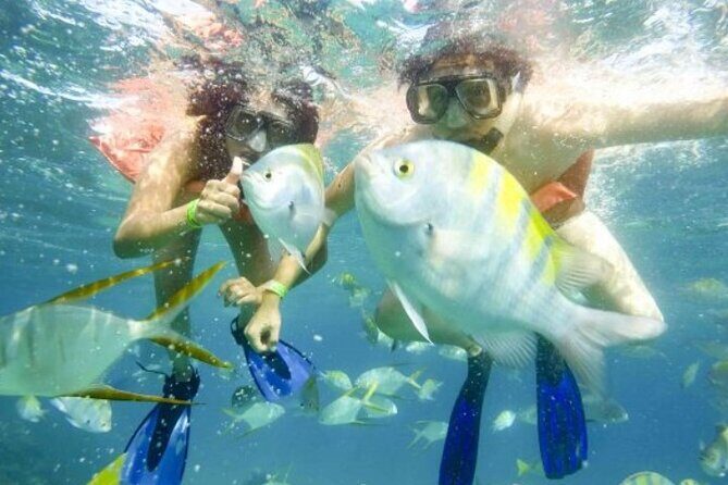 One Way Airport Transfer from SJD-Hotel or Hotel-SJD Cabo San Lucas Zone - Ease of Arrival – From Plane to Hotel