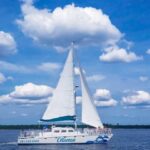 Orange Beach: Dolphin & Sailing Cruise Aboard 52' Catamaran - What the Tour Entails