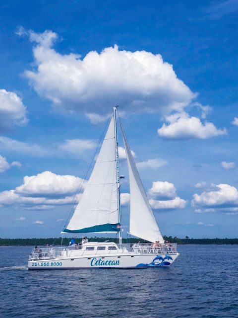 Orange Beach: Dolphin & Sailing Cruise Aboard 52' Catamaran - What the Tour Entails