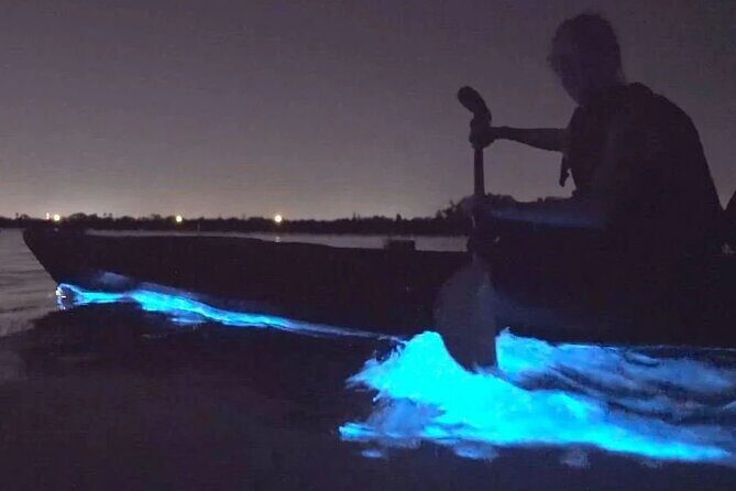 Orcas Island Bioluminescence Kayaking Tour - Exploring the Orcas Island Bioluminescent Kayaking Tour