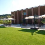 Organic Winery Visit with Wine & Food Tasting in Bologna - Value for Money