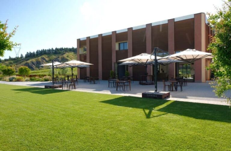 Organic Winery Visit with Wine & Food Tasting in Bologna - Value for Money