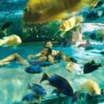 Orlando: Aquatica Water Park Admission Ticket - Practical Details and Pricing