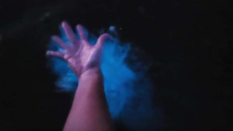 Orlando: Magic After Dark Bioluminescence Kayak Tour - The Itinerary and Experience Breakdown