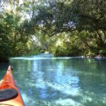 Orlando: Small Group Rock Springs Run Kayak Tour - A Deeper Look into the Rock Springs Run Kayak Tour