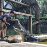 Orlando: Wild Florida Park Ticket and Gator Shows - The Scenic Cypress Swamp & Nature Trails