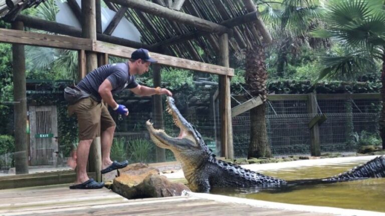 Orlando: Wild Florida Park Ticket and Gator Shows - The Scenic Cypress Swamp & Nature Trails