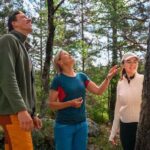 Oslo: Forest Hike with Guide & Husky - The Detailed Itinerary