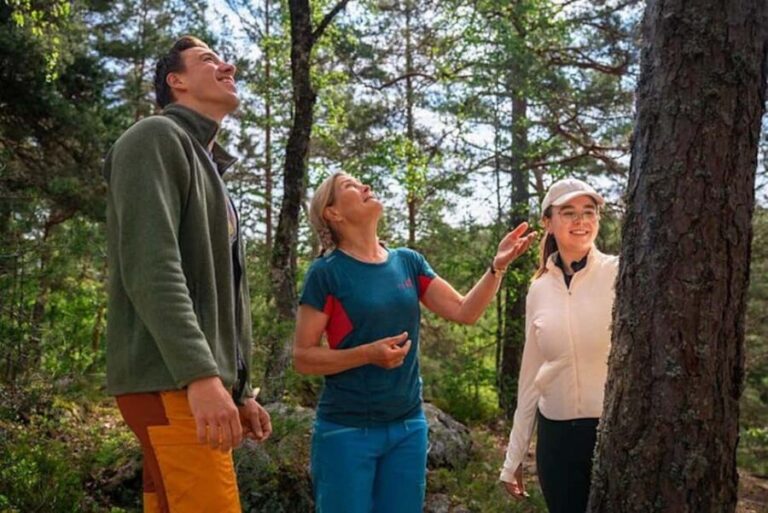 Oslo: Forest Hike with Guide & Husky - The Detailed Itinerary