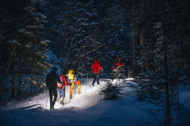 Oslo Forest: Mystery Nocturne Walk with Headlamps - What’s Included and Practical Details