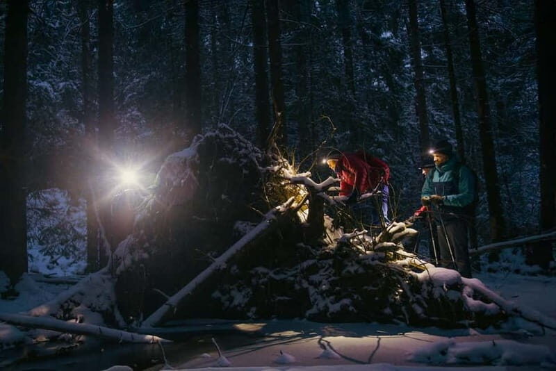 Oslo Forest: Private Mystery Nocturne Walk with Headlamps - Who Should Consider This Tour?