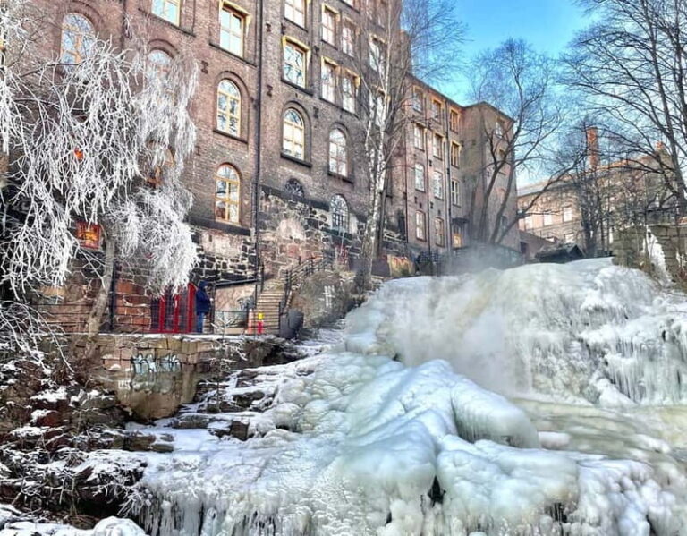 Oslo: Grünerløkka Food & Culture Walking Tour - The Value of This Tour