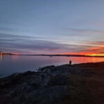 Oslo: Malmøya Island Guided Hike with Waffle and Drink - An In-Depth Look at the Malmøya Guided Hike