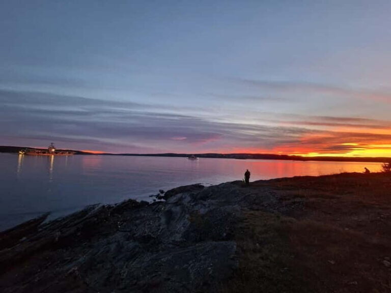 Oslo: Malmøya Island Guided Hike with Waffle and Drink - An In-Depth Look at the Malmøya Guided Hike