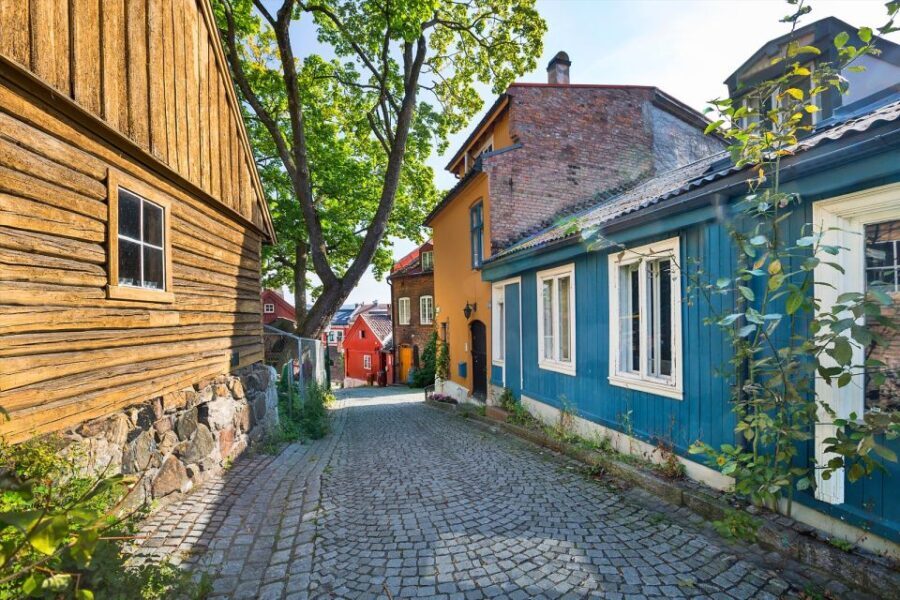 Oslo: Norwegian Food Tour & Hidden Gems City Walk - A Deep Dive into the Oslo Food & Hidden Gems Experience