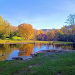 Oslo: Private Akerselva River Walk - Why This Tour Offers Great Value